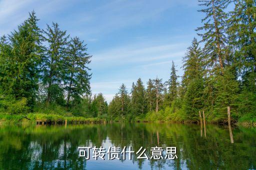 可轉債什么意思