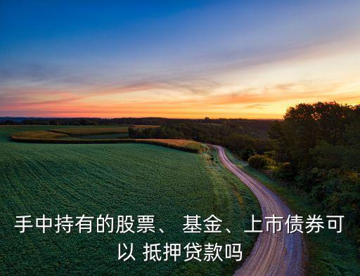 手中持有的股票、 基金、上市債券可以 抵押貸款嗎