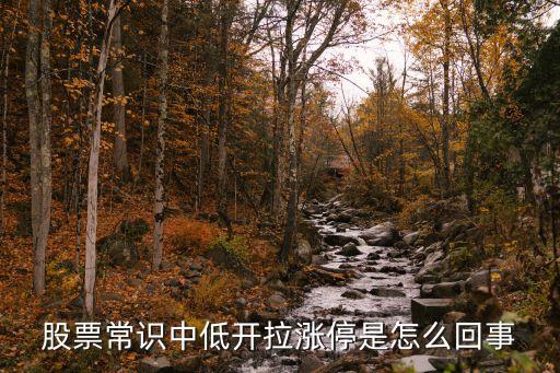 股票常識(shí)中低開(kāi)拉漲停是怎么回事
