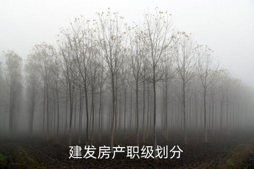 建發(fā)房產(chǎn)職級(jí)劃分