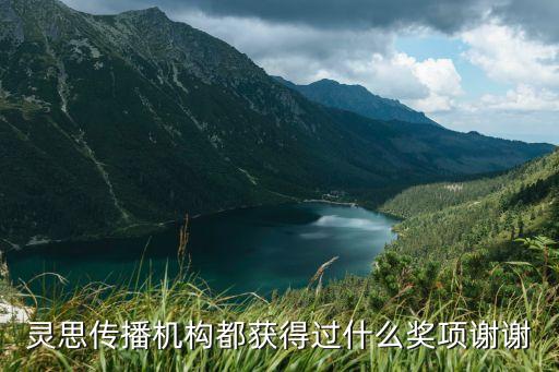 靈思傳播機構都獲得過什么獎項謝謝