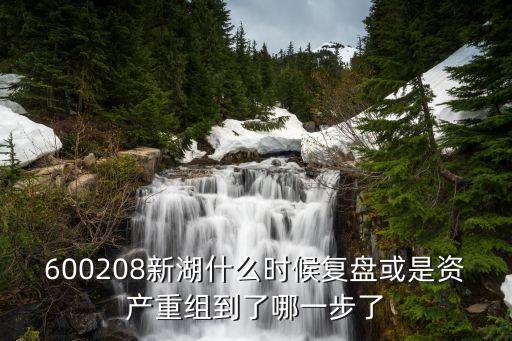 600208新湖什么時(shí)候復(fù)盤(pán)或是資產(chǎn)重組到了哪一步了
