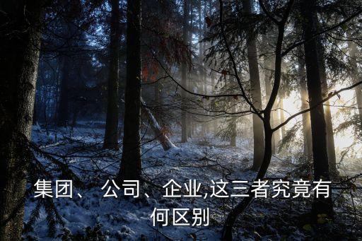  集團、 公司、企業(yè),這三者究竟有何區(qū)別