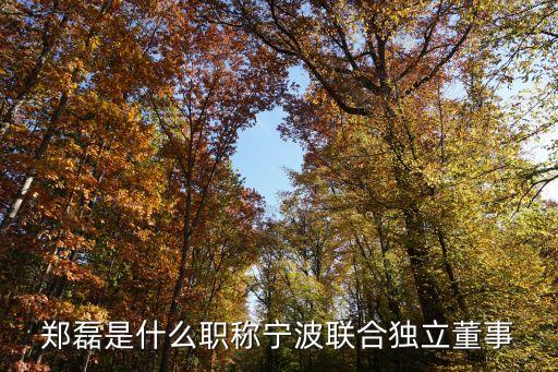 鄭磊是什么職稱寧波聯合獨立董事