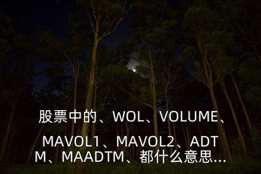  股票中的、WOL、VOLUME、MAVOL1、MAVOL2、ADTM、MAADTM、都什么意思...