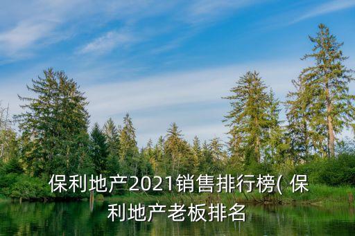  保利地產2021銷售排行榜( 保利地產老板排名