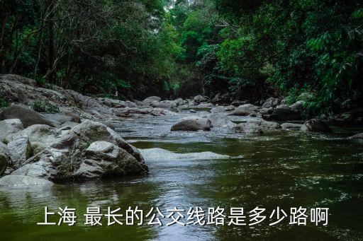 上海哪條路最長(zhǎng),哈爾濱哪條路最長(zhǎng)