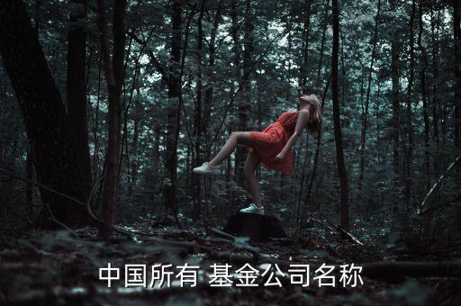 中國(guó)所有 基金公司名稱
