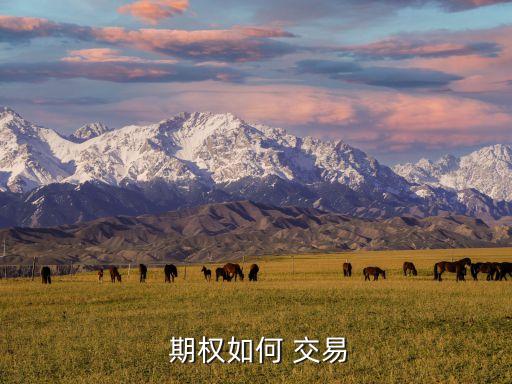 中國期權的交易規(guī)則,期權50etf交易規(guī)則