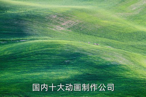 國內十大動畫制作公司