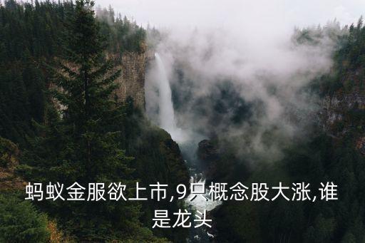 螞蟻金服欲上市,9只概念股大漲,誰(shuí)是龍頭
