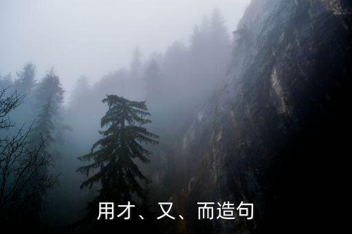 用才、又、而造句