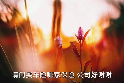 請(qǐng)問(wèn)買車險(xiǎn)哪家保險(xiǎn) 公司好謝謝