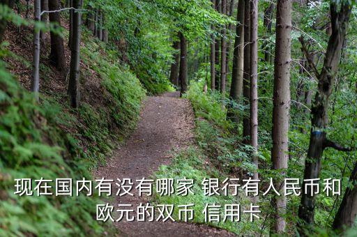 現(xiàn)在國內有沒有哪家 銀行有人民幣和歐元的雙幣 信用卡