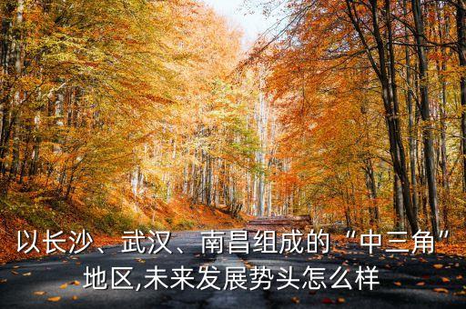 以長沙、武漢、南昌組成的“中三角”地區(qū),未來發(fā)展勢頭怎么樣