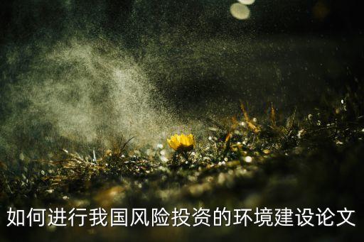 如何進(jìn)行我國風(fēng)險投資的環(huán)境建設(shè)論文