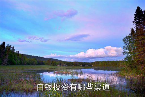 哪家銀行支持白銀回購,哪個(gè)銀行支持白銀回購