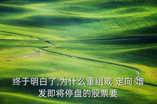 定向增發(fā)引進戰(zhàn)略投資者,向戰(zhàn)略投資者定向增發(fā) 短期償債能力