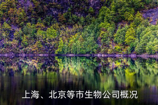  上海、北京等市生物公司概況