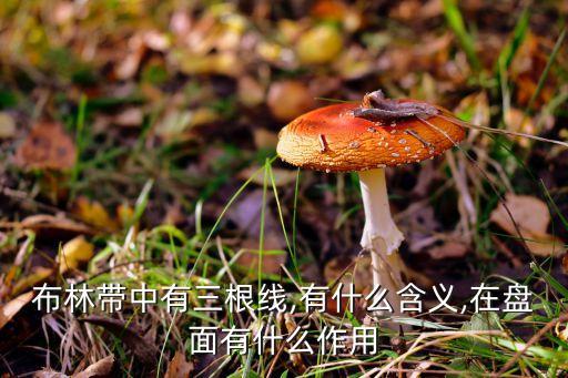 股票布林線(xiàn)是均線(xiàn)嗎,布林線(xiàn)加5日均線(xiàn)指標(biāo)公式源碼