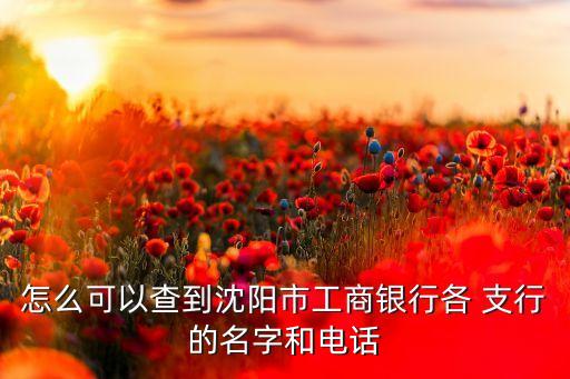怎么可以查到沈陽(yáng)市工商銀行各 支行的名字和電話