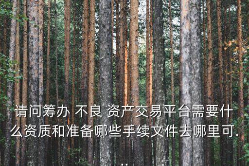 請問籌辦 不良 資產(chǎn)交易平臺需要什么資質和準備哪些手續(xù)文件去哪里可...