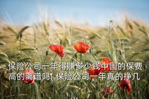  保險公司一年得賺多少錢中國的保費(fèi)高的離譜嗎( 保險公司一年真的掙幾...