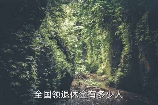 中國(guó)養(yǎng)老金總資產(chǎn),支付寶總資產(chǎn)怎么把養(yǎng)老金加上去了