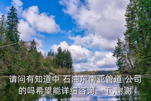 請問有知道中 石油東南亞管道 公司的嗎希望能詳細咨詢一下,謝謝