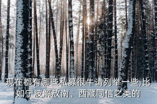 現(xiàn)在都有哪些私募很牛請(qǐng)列舉一些,比如寧波解放南、西藏同信之類的