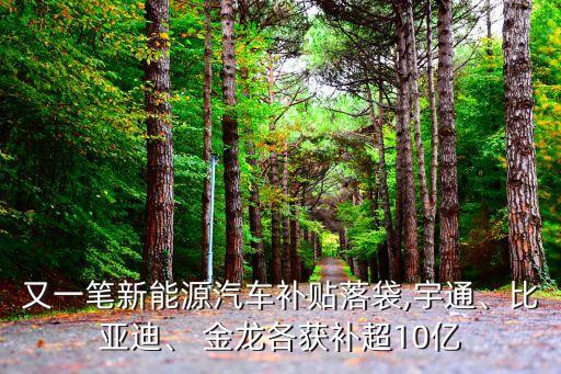 又一筆新能源汽車補貼落袋,宇通、比亞迪、 金龍各獲補超10億
