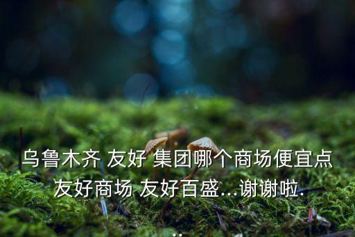 新疆友好集團美美百貨注冊資金
