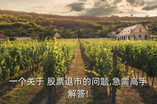 一個關于 股票退市的問題,急需高手解答!