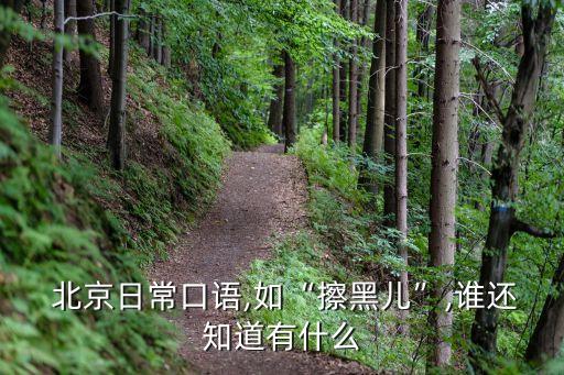  北京日?？谡Z(yǔ),如“擦黑兒”,誰(shuí)還知道有什么