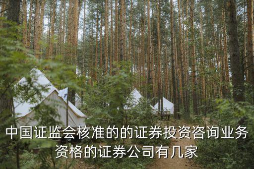 中國證監(jiān)會核準的的證券投資咨詢業(yè)務(wù)資格的證券公司有幾家