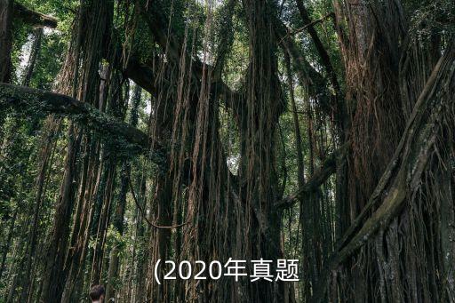 股票資產的賬面價值,資產賬面價值大于計稅基礎