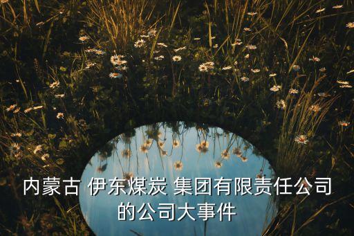 伊東集團(tuán)楊二喜,鄂爾多斯伊東集團(tuán)楊二喜個人簡介