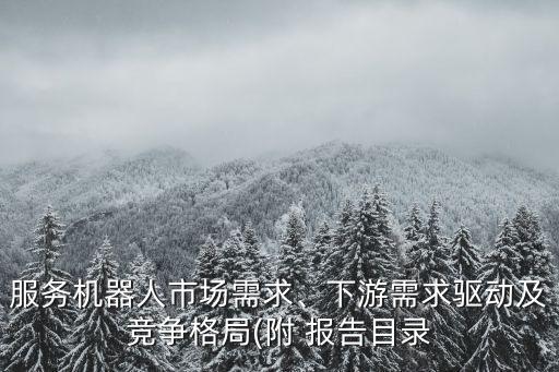服務(wù)機(jī)器人市場(chǎng)需求、下游需求驅(qū)動(dòng)及競(jìng)爭(zhēng)格局(附 報(bào)告目錄