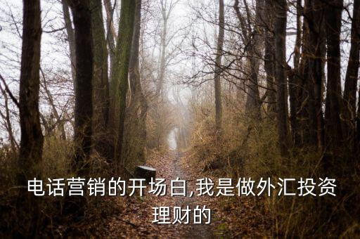  電話(huà)營(yíng)銷(xiāo)的開(kāi)場(chǎng)白,我是做外匯投資 理財(cái)?shù)? class=