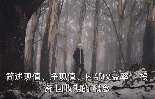 簡述現(xiàn)值、凈現(xiàn)值、內(nèi)部收益率、 投資 回收期的 概念