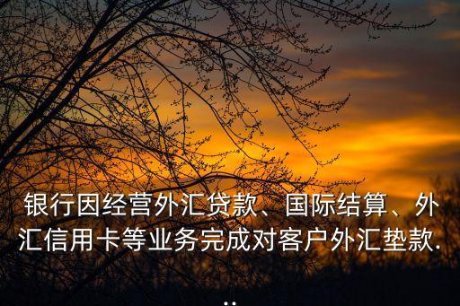  銀行因經(jīng)營外匯貸款、國際結(jié)算、外匯信用卡等業(yè)務(wù)完成對客戶外匯墊款...