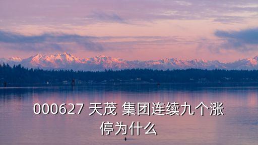 000627 天茂 集團(tuán)連續(xù)九個(gè)漲停為什么
