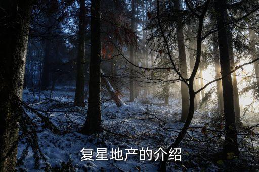  復星地產(chǎn)的介紹