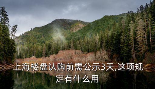 上海排隊買房子,上海買房子需要什么條件外地人