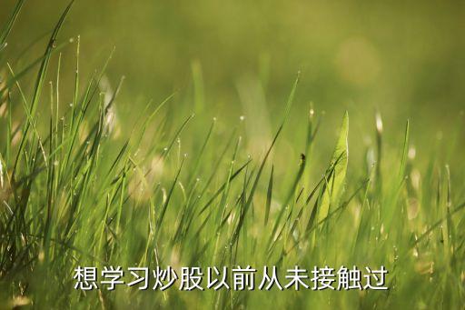 想學(xué)習炒股以前從未接觸過