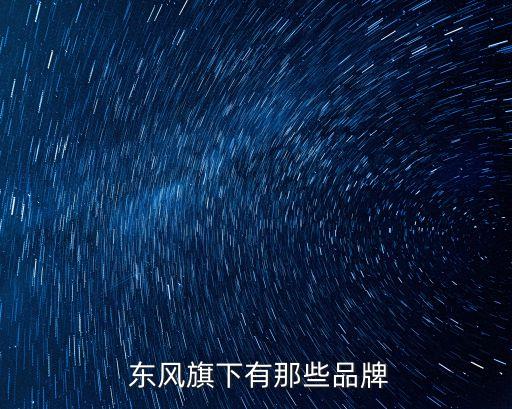  東風(fēng)旗下有那些品牌