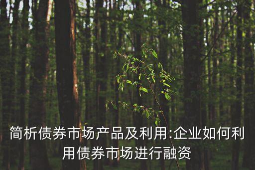 北京銀行間交易商協(xié)會(huì)