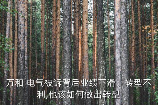 萬和 電氣被訴背后業(yè)績下滑、轉(zhuǎn)型不利,他該如何做出轉(zhuǎn)型