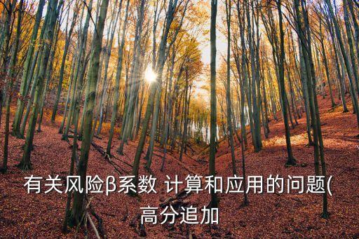有關(guān)風險β系數(shù) 計算和應(yīng)用的問題(高分追加