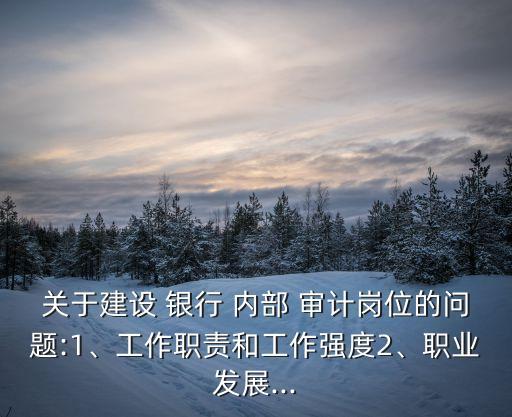 關于建設 銀行 內(nèi)部 審計崗位的問題:1、工作職責和工作強度2、職業(yè)發(fā)展...